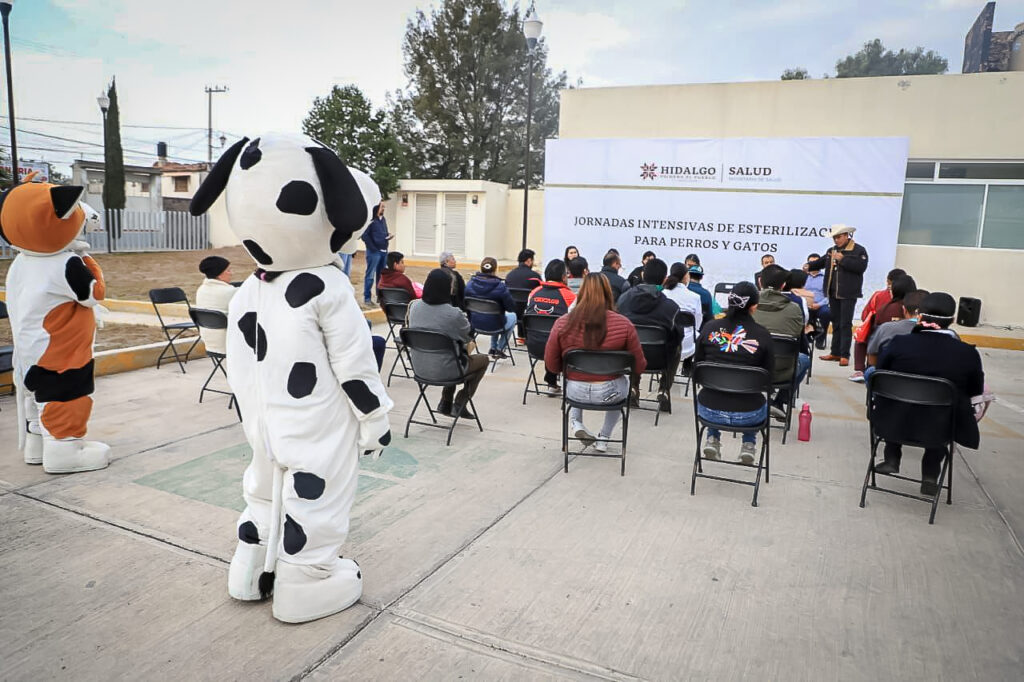 03_DICIEMBRE_2023_SALUD_ESTERILIZACIÓN Perros y gatos -6