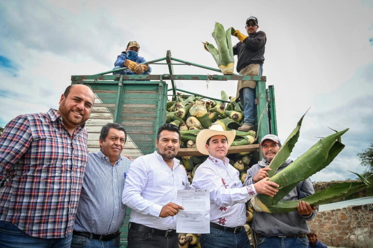 23_DICIEMBRE_2023_AGRICULTURA_Hijuelos de maguey-5