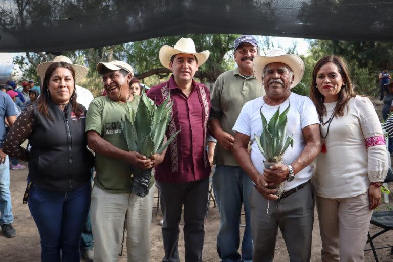 23_DICIEMBRE_2023_AGRICULTURA_Hijuelos de maguey-7