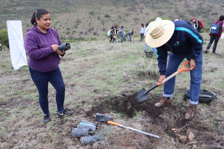 16_julio_2024_SEMARNATH_REFORESTACIÓN (14)