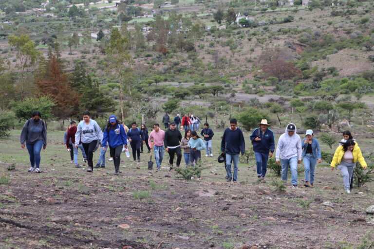 16_julio_2024_SEMARNATH_REFORESTACIÓN (6)