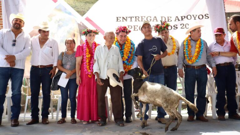 010924_AGRICULTURA_ Vientres ovinos y aves de doble propósito, para habitantes de Jaltocán_06