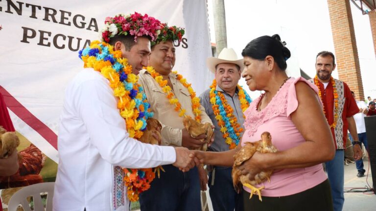 010924_AGRICULTURA_ Vientres ovinos y aves de doble propósito, para habitantes de Jaltocán_17