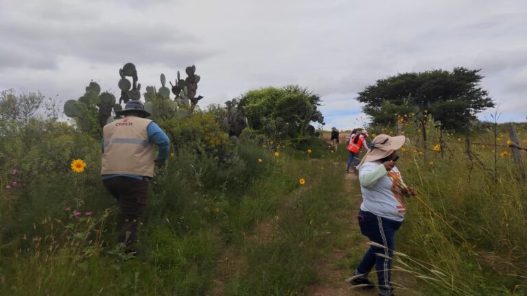 290924_SEGOBH_CBPEH_BÚSQUEDA DE PERSONAS_HUICHAPAN_TECOZAUTLA_12