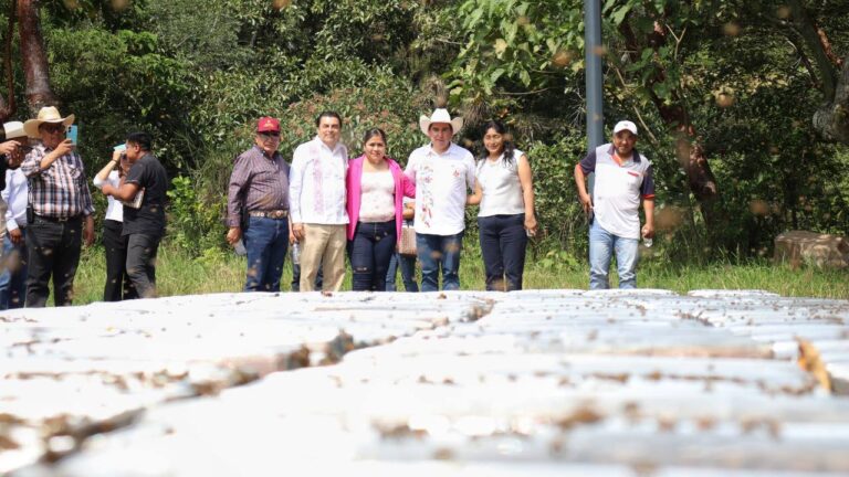 FOTO 03 NOVIEMBRE 2024_AGRICULTURA_APOYOS EN L REGIÓN OTOMÍ TEPEHUA (12)