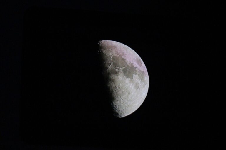 FOTO 11 NOVIEMBRE 2024_PLANEACIÓN_Un éxito, la Noche de las Estrellas 2024