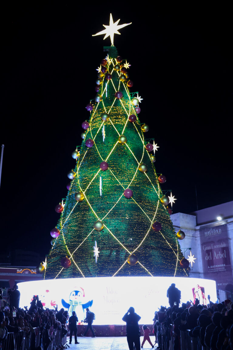 04_DICIEMBRE_2024_GOBERNADOR ENCENDIDO ARBOL 3