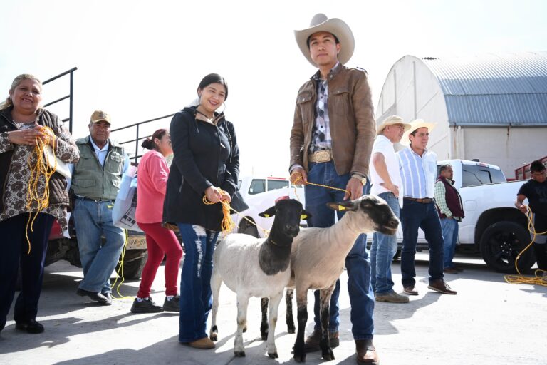 01 ENERO 2025_AGRICULTURA_Hidalgo se posiciona en los primeros lugares del país en producción de lana y carne de ovinos (1)