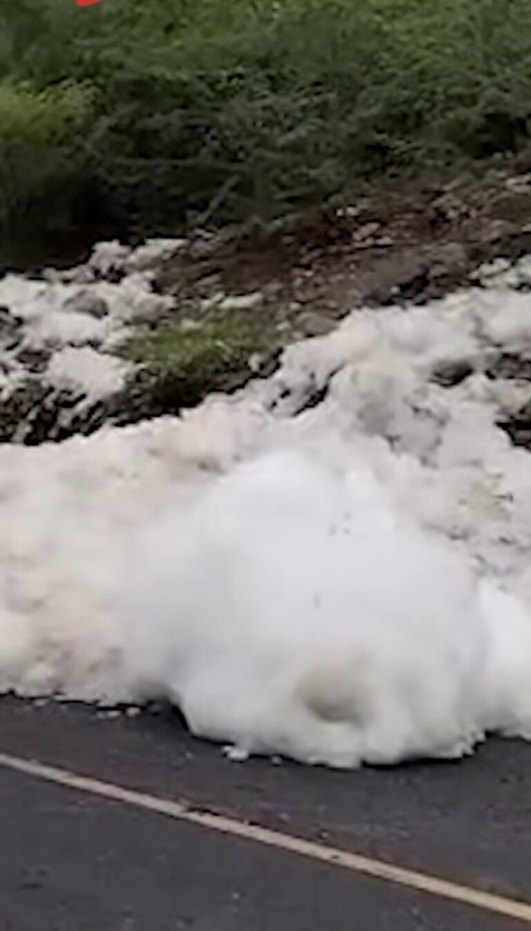 espuma2