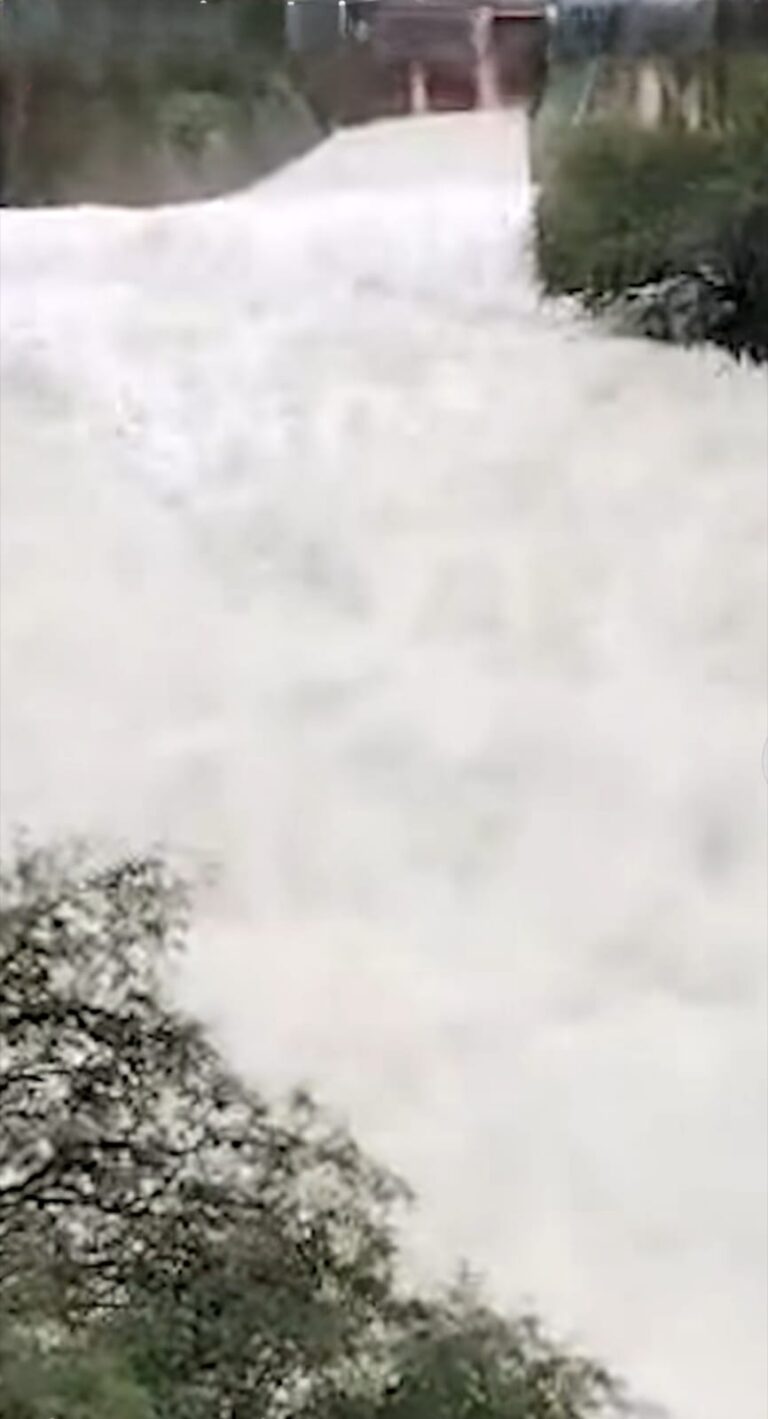 spuma3